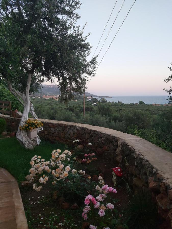 Riza * Kardamyli